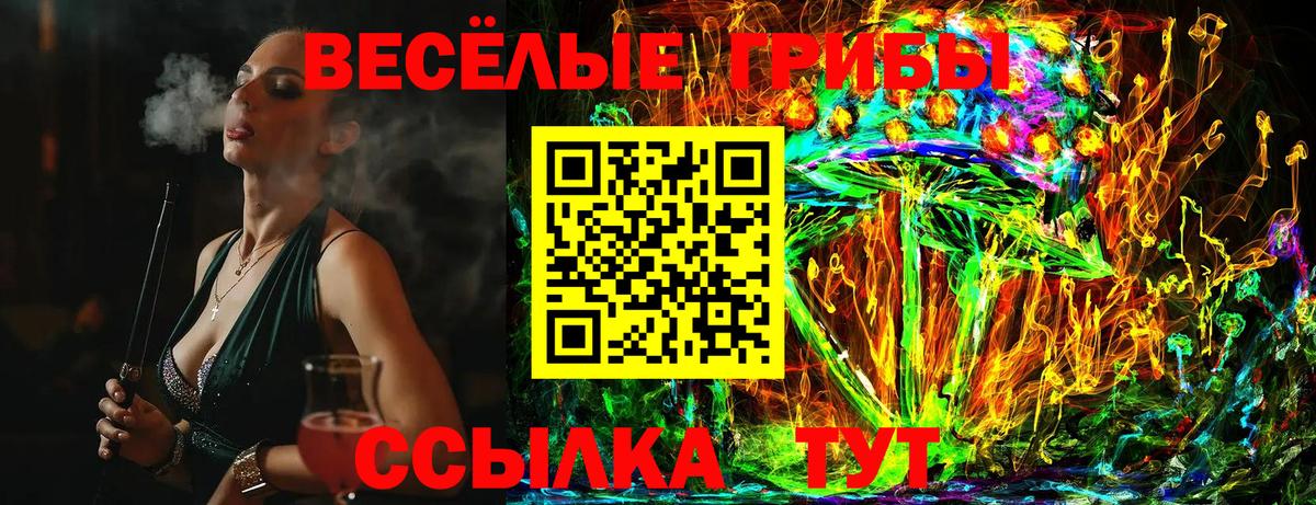 Чапаевск  Галлюциногенные грибы GOLDEN TEACHER  Вход с VPN  Галлюциногенные грибы Cubensis 
